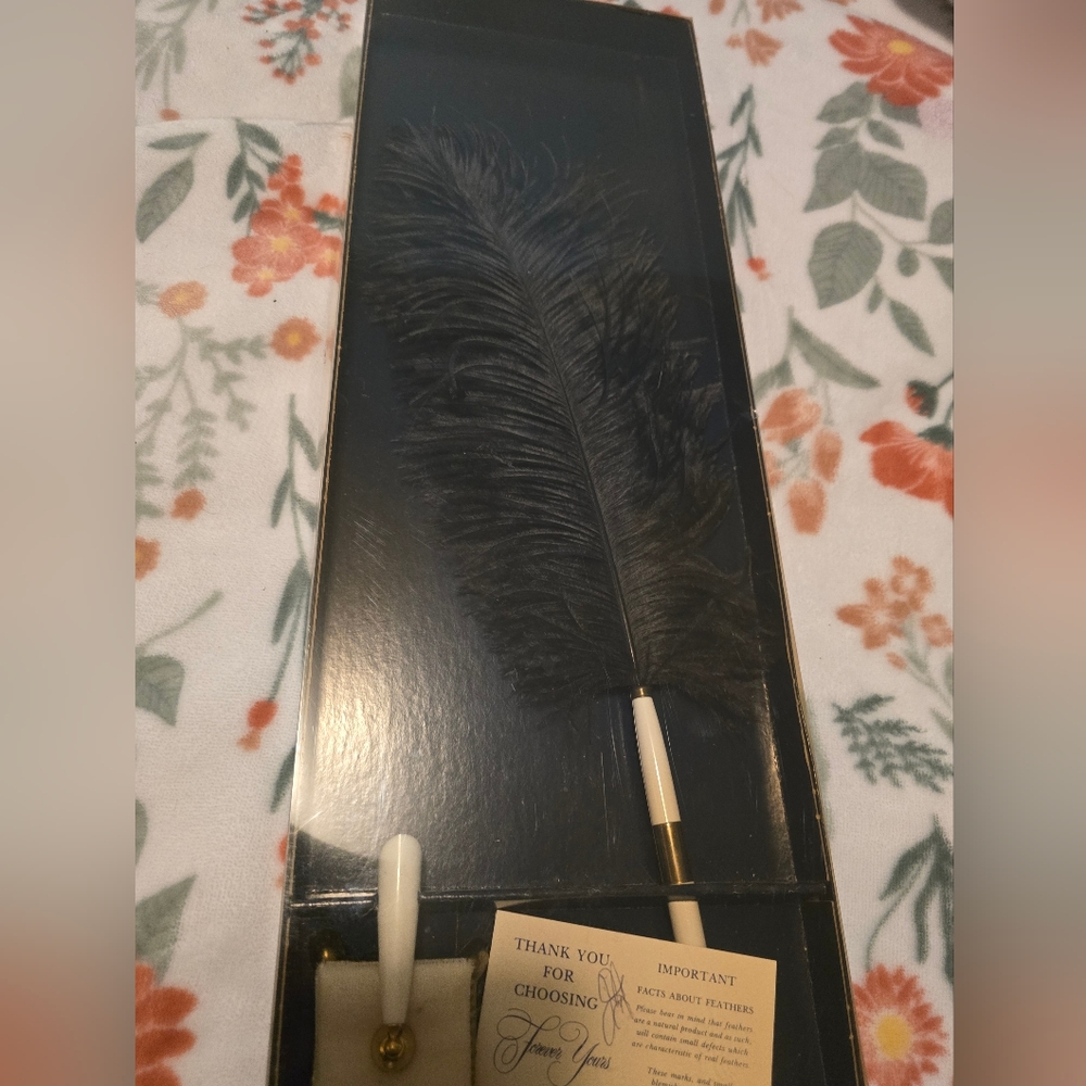 Vintage Large Collectible ostrich feather quill pen